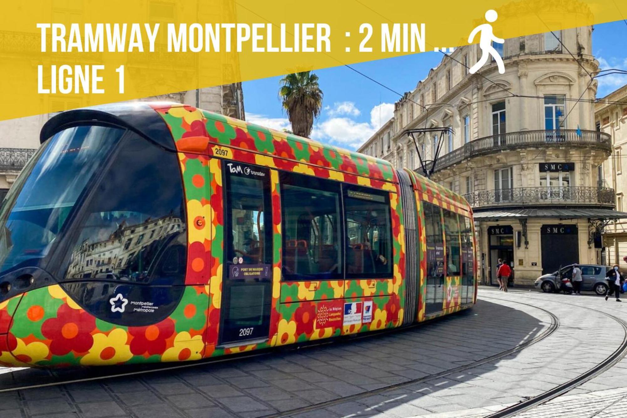 Le Chapeau Rouge - Centre Historique - Corum - Tramway - Climatisation Montpellier Exteriér fotografie
